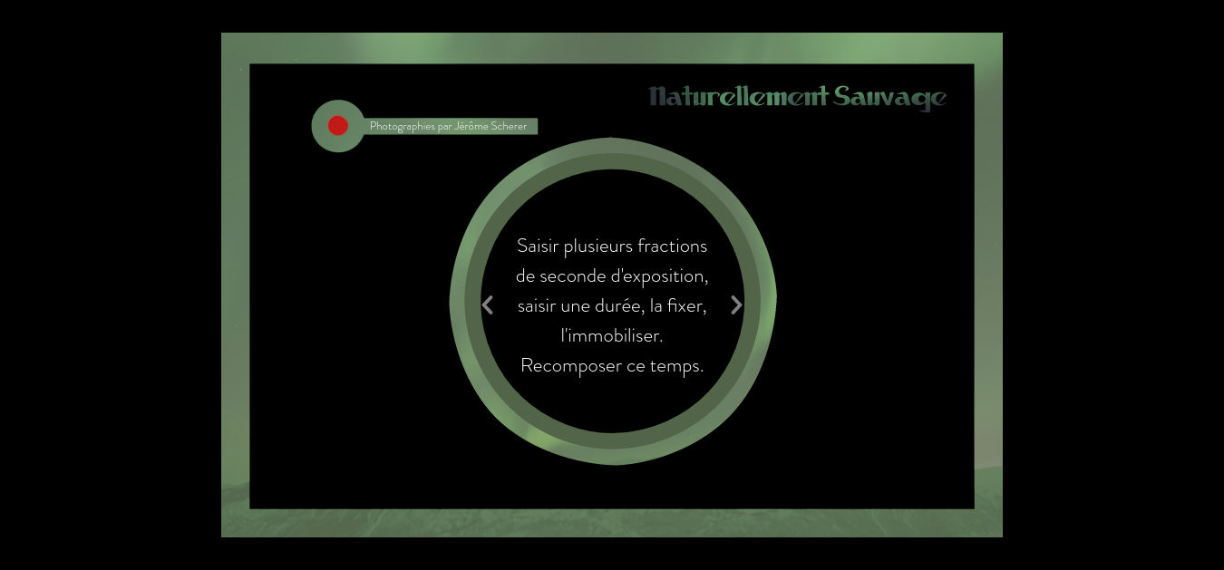 Naturellement Sauvage, site internet réalisé par le Cabinet d'éthikmologie